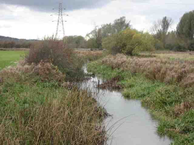 IMG_4149hinksey stream at s hinksey