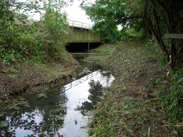 Kennington Stream September 2008 004_2