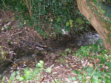 towle's mill by-pass beforeDSCF2615